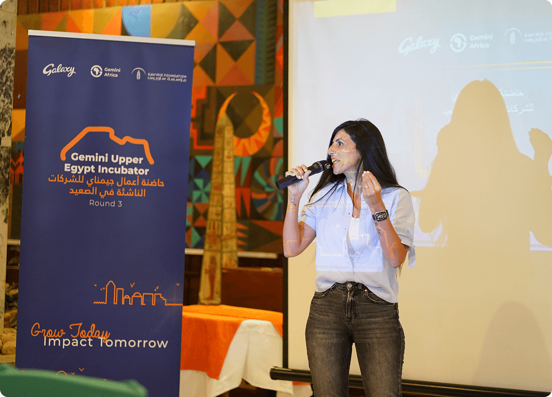 Gemini Upper Egypt Social Entrepreneurship Incubator Program